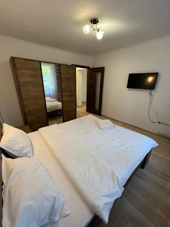 Gold Apartments Baia Mare Buitenkant foto