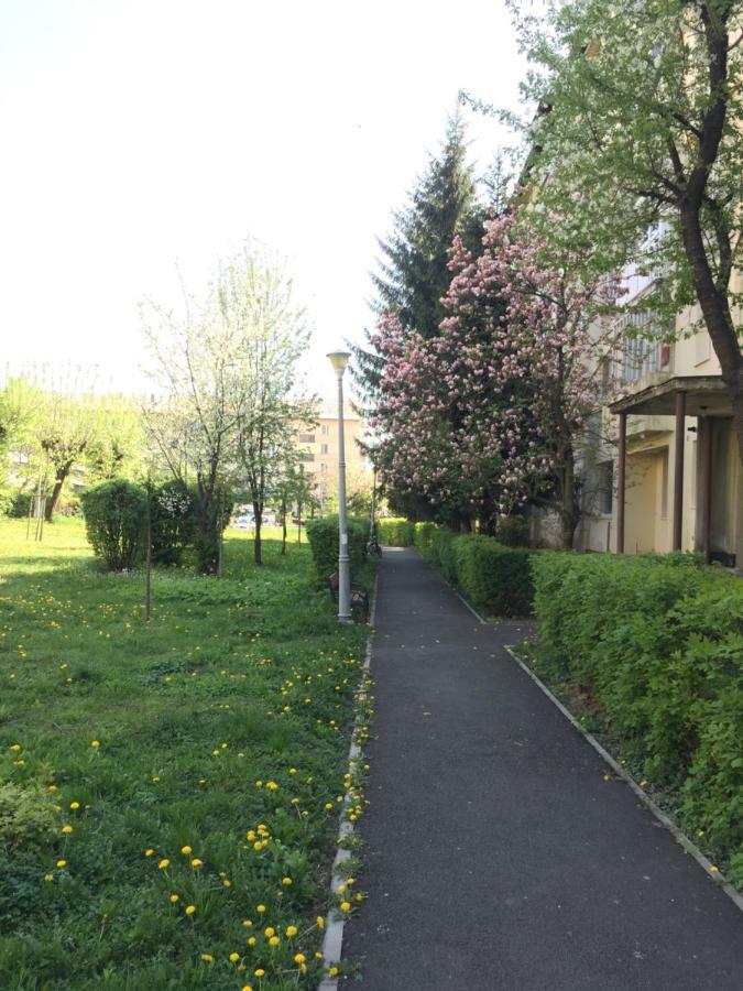Gold Apartments Baia Mare Buitenkant foto